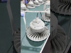 Éclairage à LED dangereux à haute baie EX 30W 40W 50W