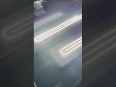 IP66 ATEX Lumière linéaire résistante aux explosions pour l'industrie 50w 100w 200w