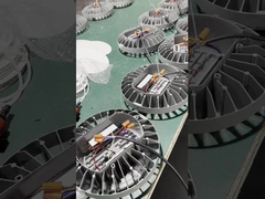 Lampe antidéflagrante IP65 étanche en usine 50W 100W 150W Lumière LED antidéflagrante