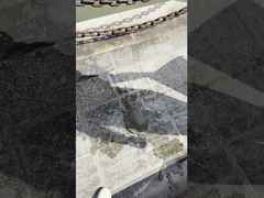 AC85-310V/AC100-277V 130-140LM/W Éclairage de rue extérieur à LED pour jardin, place