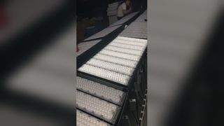 Voir l'éclairage de stade extérieur durable : Démo des projecteurs à module LED RFFL-11 IP65