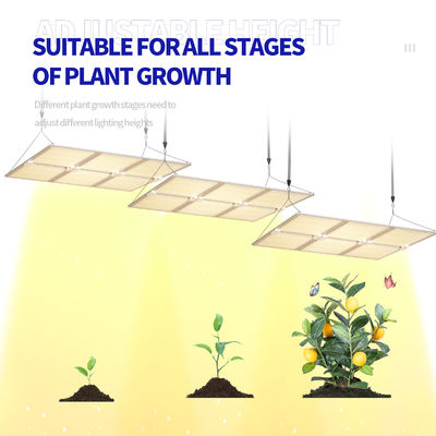Lumière de croissance LED à spectre complet de 600 W avec fonction d'atténuation pour une croissance optimale des plantes