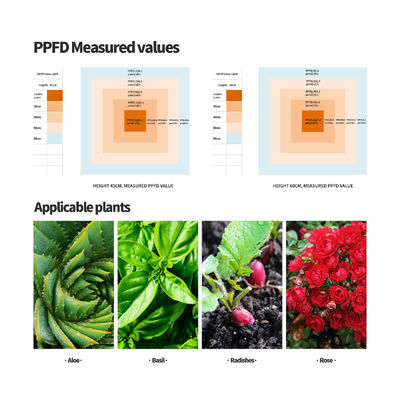 Lumière de croissance LED à spectre complet de 600 W avec fonction d'atténuation pour une croissance optimale des plantes