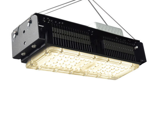 50W Full Spectrum LED Grow Light pour les plantes d'intérieur avec tension AC85-265V