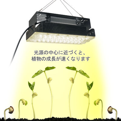 Lampe de culture LED à spectre complet 100W avec LED SMD3030 pour plantes d'intérieur et jardins