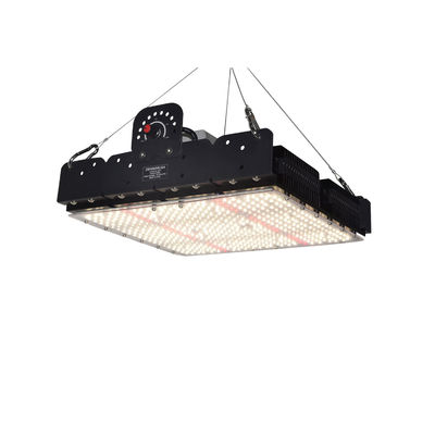 Full Spectrum 250W T5 LED Grow Light avec gestion thermique passive pour les plantes d'intérieur