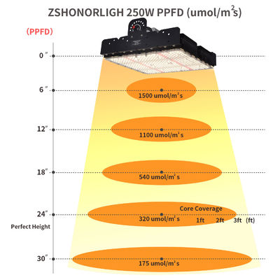 Full Spectrum 250W T5 LED Grow Light avec gestion thermique passive pour les plantes d'intérieur
