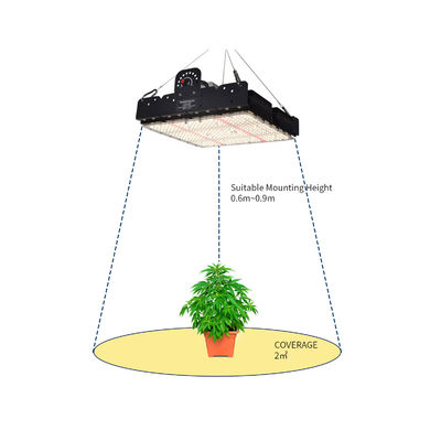 Full Spectrum 250W T5 LED Grow Light avec gestion thermique passive pour les plantes d'intérieur