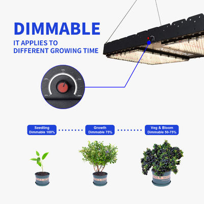 500W Full Spectrum LED Grow Light avec base E27 pour les plantes d'intérieur et l'utilisation commerciale