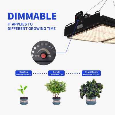 500W LED Grow Light avec lecture PPFD et spectre complet pour les plantes d'intérieur