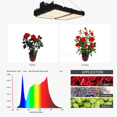 500W LED Grow Light avec lecture PPFD et spectre complet pour les plantes d'intérieur