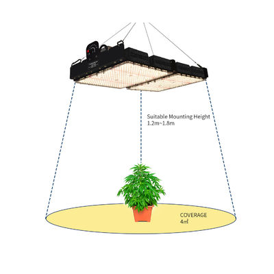 500W LED Grow Light avec lecture PPFD et spectre complet pour les plantes d'intérieur
