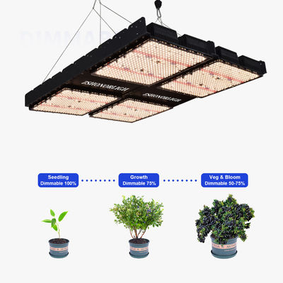 Lumière de croissance à LED à spectre complet de 1000 W pour plantes d'intérieur avec contrôle de la minuterie