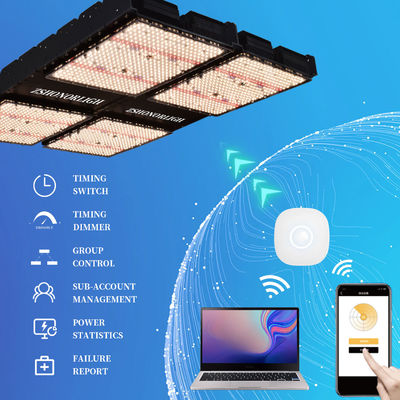 Lumière de croissance à LED à spectre complet de 1000 W pour plantes d'intérieur avec contrôle de la minuterie