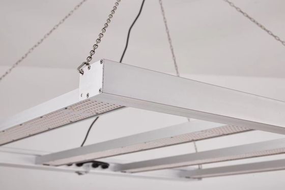 Lumière de croissance LED à spectre complet de 800 W avec étanchéité IP65 pour la croissance des plantes commerciales