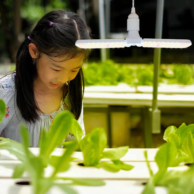 Compacte LED Grow Light avec spectre complet + 660nm et IP68 étanche à l'eau pour la croissance des plantes d'intérieur