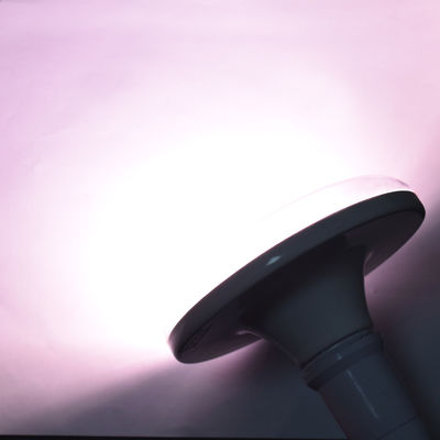 10W 20W Full Spectrum LED Grow Light avec IP67 imperméable à l'eau pour toutes les étapes de croissance des plantes