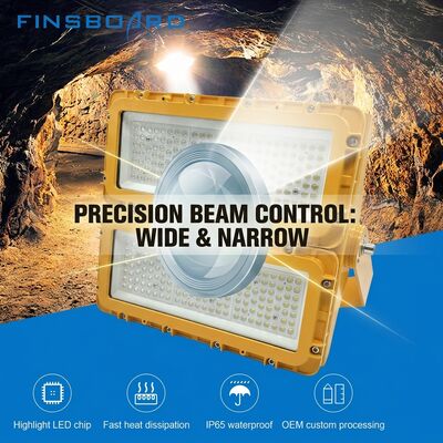 Projecteur LED antidéflagrant 300 W IECEx Zone 1 Zone 2 Zone dangereuse 39 000 lm IP66 Aluminium moulé sous pression ADC12