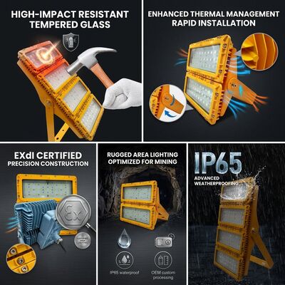 ATEX Ex db mb IIb T6 600W LED projecteur antidéflagrant LUMILEDS LM-80 72000LM IP65 éclairage dangereux pour grande surface
