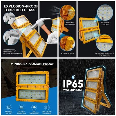 Lumière à haute résistance à l'explosion à 600 W LED à monture multiple LUMILEDS LM-80 ATEX IIb T6 IP65