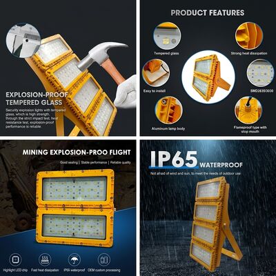Zone 1 Zone 2 300W LED éclairage à l'épreuve de l'explosion LED LUMILEDS LM-80 ATEX IIb T6 Poussière de gaz IP65