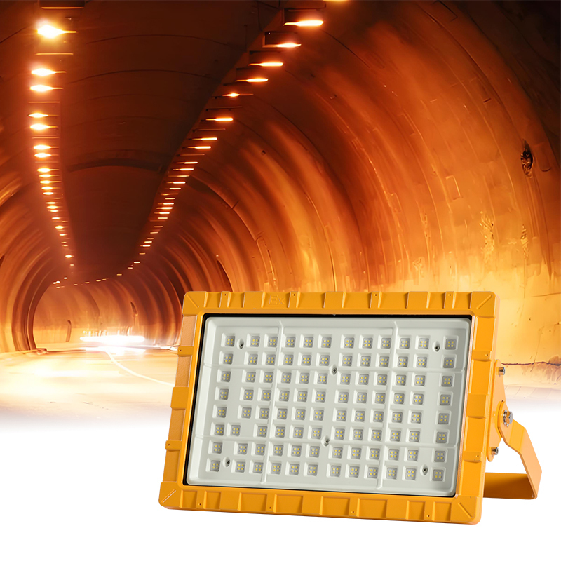 IP66 Lampes à LED résistantes à l'explosion 50W 100W 150W 200W Installation facile