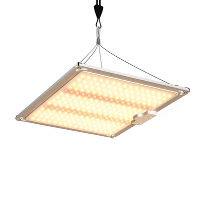 600w HPS 4x4 Grow Light Lamp Promouvoir la floraison et la fructification