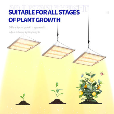 600w HPS 4x4 Grow Light Lamp Promouvoir la floraison et la fructification