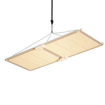 200W Full Spectrum Dimmable LED Grow Light T5 Système d'éclairage de serre pour la croissance des plantes