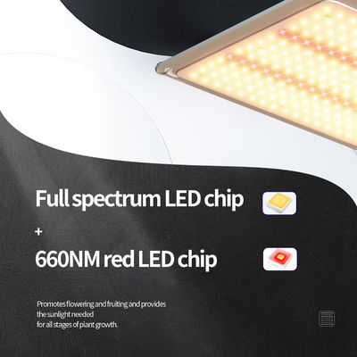 200w LED T5 lumières de croissance Système d'éclairage de serre