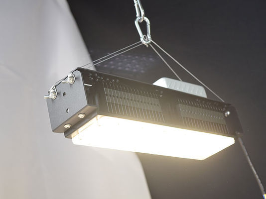 AC85V-265V Lumières à LED pour plantes d'intérieur 50W