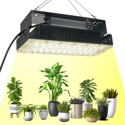 Lumière de culture à l'intérieur 100w 5x5 Pour les plantes de jardin en intérieur SMD3030