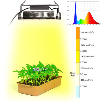 Lumière de culture à l'intérieur 100w 5x5 Pour les plantes de jardin en intérieur SMD3030