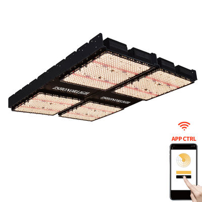 Lumières de plantes d'intérieur de 1000W 4x4 Lumière de croissance