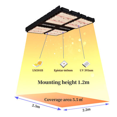 Lumières de plantes d'intérieur de 1000W 4x4 Lumière de croissance