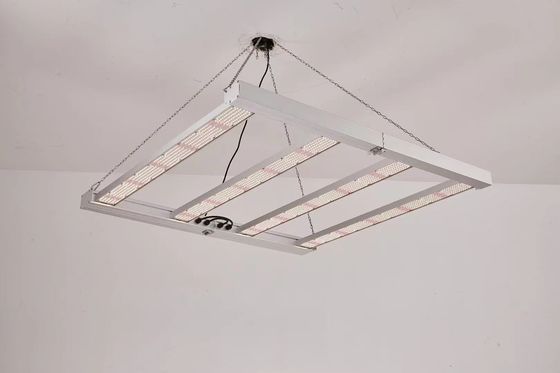 Lumière de croissance LED pliable 4T 600W 800W Pour le commerce