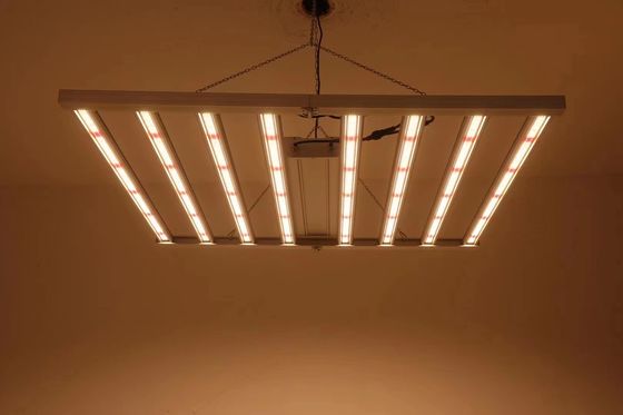 Lumières de culture de serre pliables 8T 800W 1000w Hps