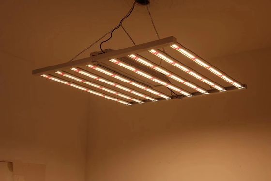 Lumières de culture de serre pliables 8T 800W 1000w Hps