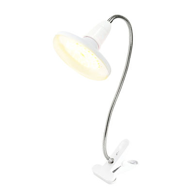Serre 10W 20W LED Grow Light Pour toutes les étapes de croissance ODM